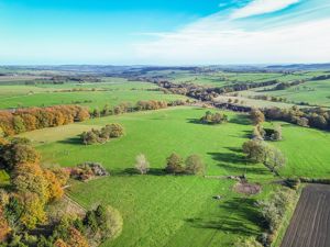 Photo 41- click for photo gallery